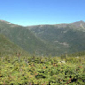 Meet your Posher, Marcie